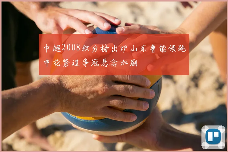 中超2008积分榜出炉山东鲁能领跑申花紧追争冠悬念加剧