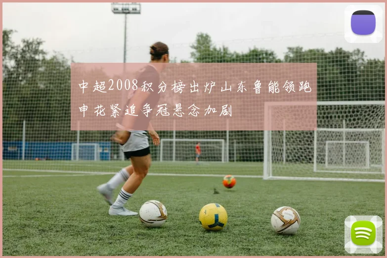 中超2008积分榜出炉山东鲁能领跑申花紧追争冠悬念加剧